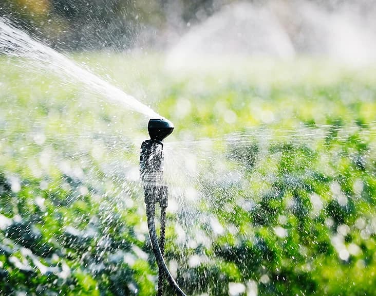 AGRICULTURAL WATERING